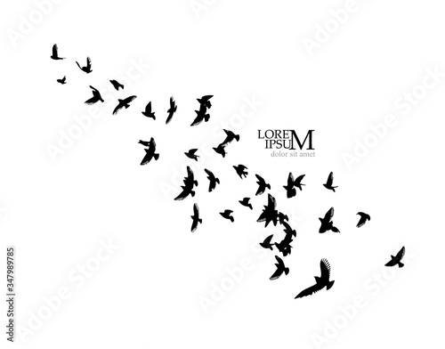 A flock of flying silhouette birds. Vector illustration