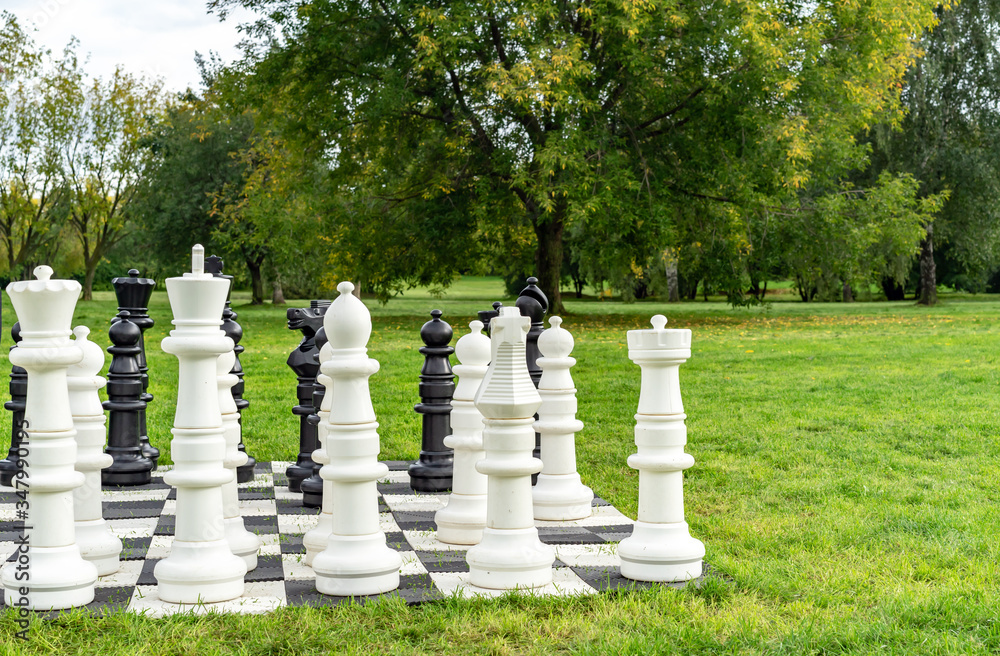 Giant black and white chess pieces on a background of nature.