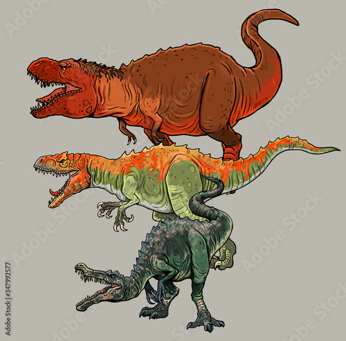 Comparison of dinosaurs  Tyrannosaurus rex  Allosaurus and Baryonyx.