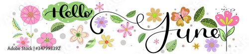 Hello June. JUNE month vector with flowers, butterflies and leaves. Decoration floral. Illustration month June 