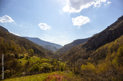 Road through forests and meadows on the old mountain (stara planina) in serbia at early spring