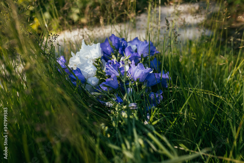 A bouquet of blue-white bell flowers lies on green grass
