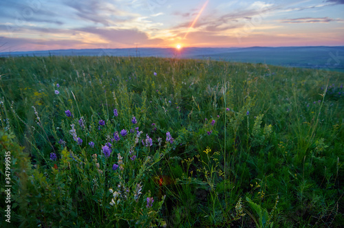 Rain clouds over the steppe covered with flowers and grass. Zabaykalsky Krai. Russia.