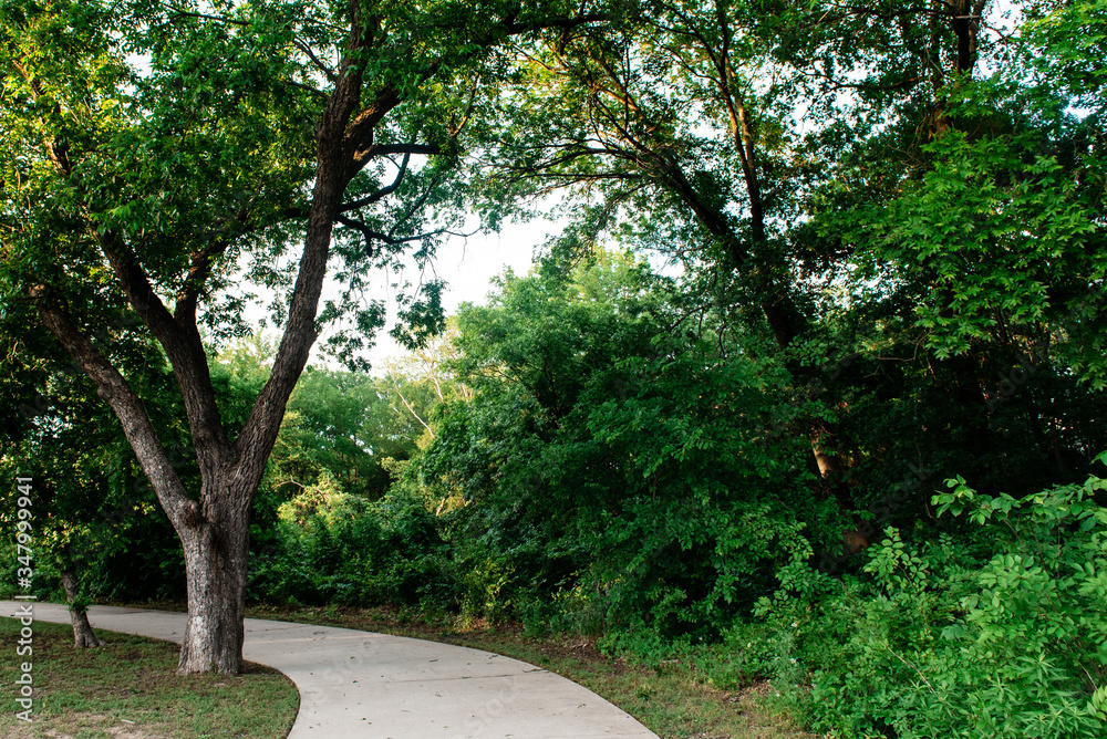 Tree-lined greenbelt running along Live Oak Creek in McKinney, Texas, a northern suburb of Dallas, Texas. Tree-lined greenbelt running along Live Oak Creek in McKinney, Texas, a northern suburb of Dallas, Texas.