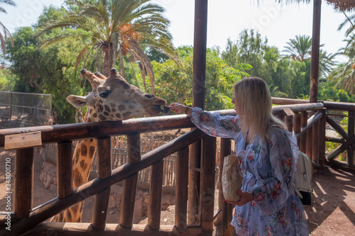 Photography Young woman feeding a giraffe in oasis park in La Lajita, Fuerteventura, Canary islands, Spain