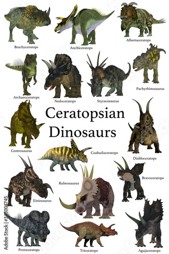 Fototapeta Naklejka Na Ścianę i Meble -  Ceratopsian Dinosaurs - A collection set of Ceratops beaked dinosaurs from the Cretaceous Period of the world's history of animals.