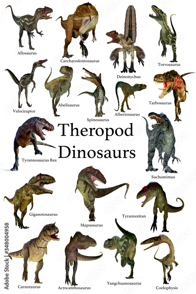 List of carnivorous dinosaurs