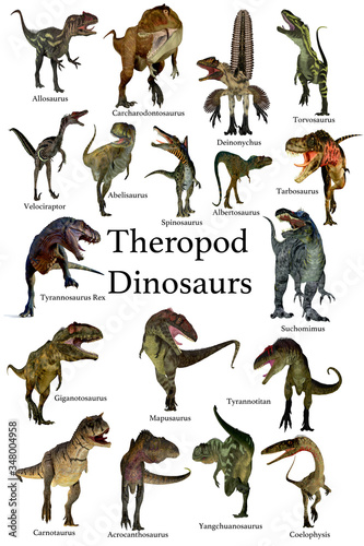 Fototapeta Naklejka Na Ścianę i Meble -  Theropod Dinosaurs - A collection set of Theropod carnivorous dinosaurs from the Cretaceous, Jurassic and Triassic Periods.