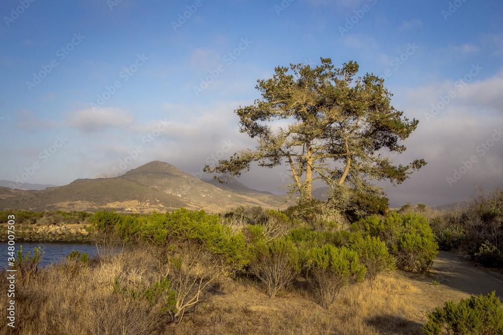 Obraz premium Coastline of Morro Bay California