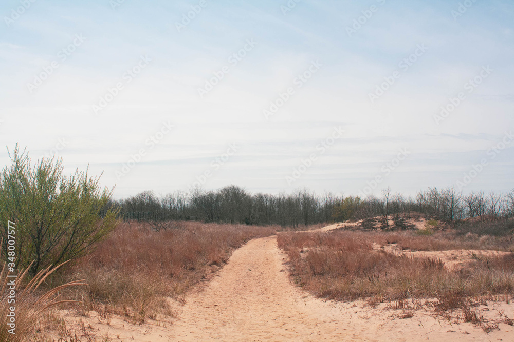Fototapeta premium Sea Shore