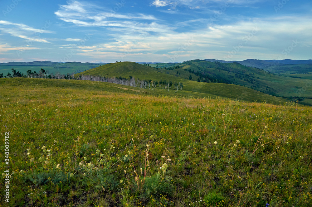 Distant green hills and flowering stapes. Zabaykalsky Krai. Russia. Distant green hills and flowering stapes. Zabaykalsky Krai. Russia.