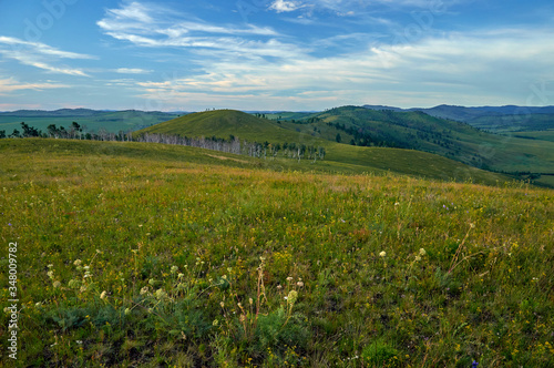 Distant green hills and flowering stapes. Zabaykalsky Krai. Russia.