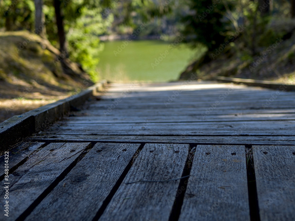 wooden boardwalk near the lake