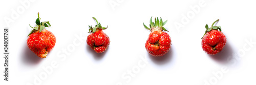Trendy ugly food banner fresh red strawberry on white isolated background with shadows. Misshapen produce, food waste problem concept