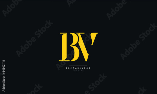 BV Letter Logo Alphabet Design Icon Vector Symbol