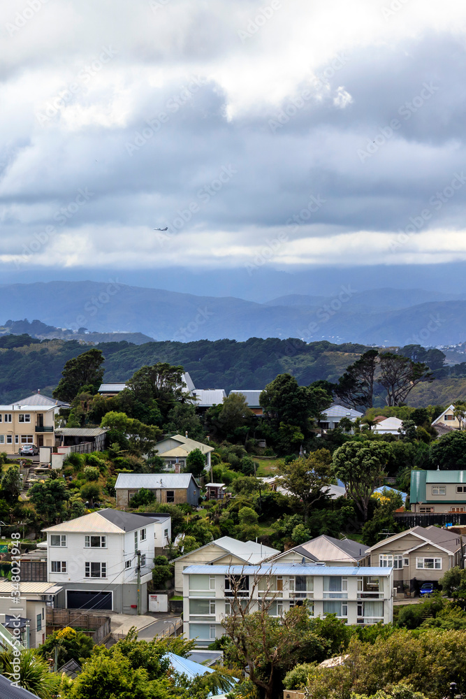 View of Wellington city houses in New Zealand