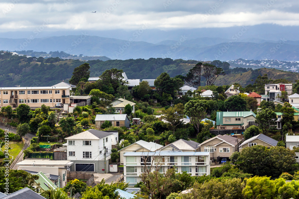 View of Wellington city houses in New Zealand