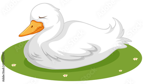 Cute duck sleeping on grass