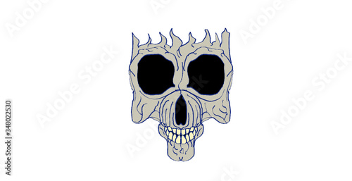 Mummified Skull