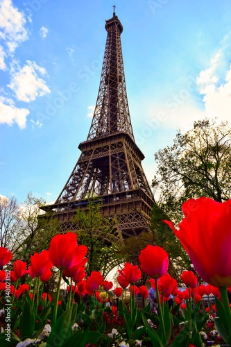 eiffel tower in paris