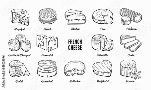 Collection of traditional French cheese. Hand drawn sketch in doodle style.