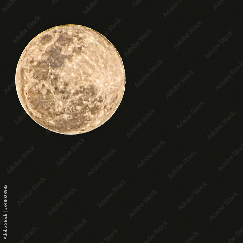 Fototapeta premium full moon in the night