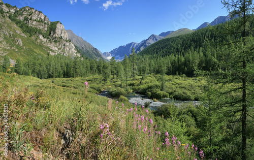 Mountain landscape. Valley covered with forest, a wild place in Siberia.