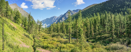 Mountain landscape, panoramic view. Valley covered with forest, a wild place in Siberia.