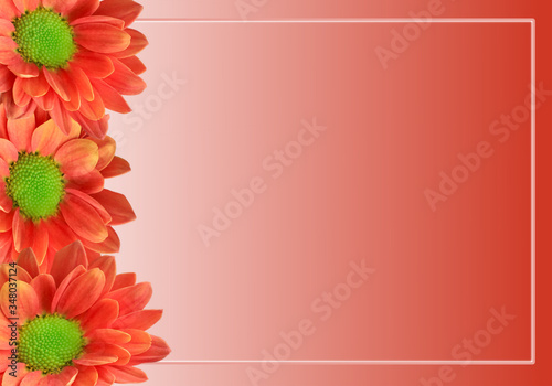 Greeting card background design with colour gradient orange sunflowers and copy space, trendy border summer design template invitation for a special occasion.