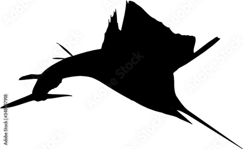 sailfish silhouette 