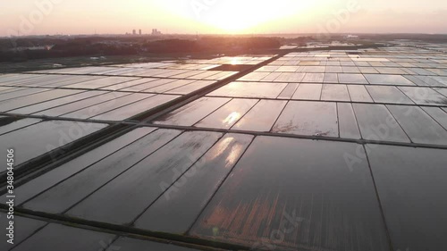 夕日に照らされた水田