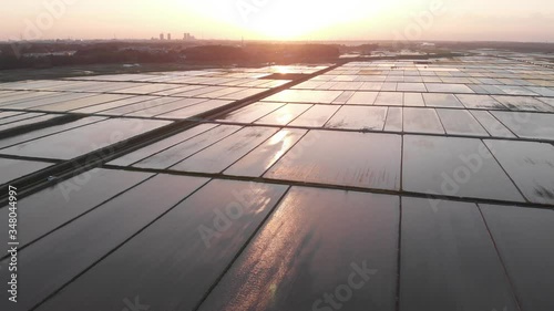 夕日に照らされた水田