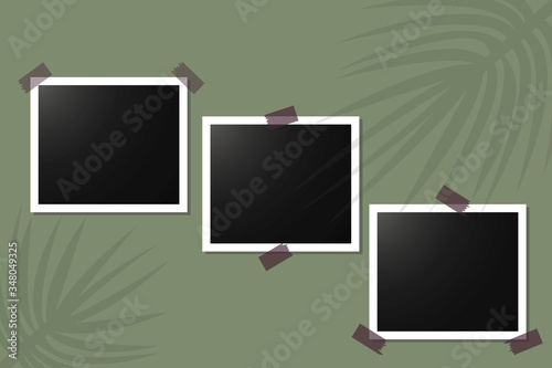 Vector image of photo frames, blank pictures. Blank templates of three photos on a green background. Stock Photo.