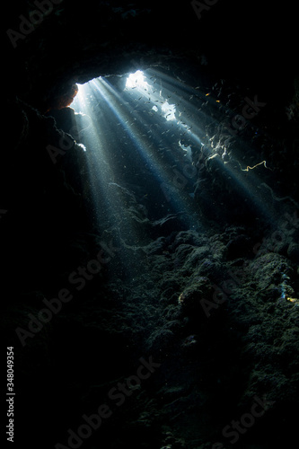 Sunlight filters down into a dark, underwater cavern in Raja Ampat, Indonesia. This remote area is known as the heart of the Coral Triangle due to its high marine biodiversity.