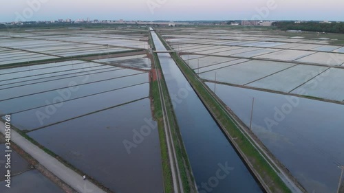 夕日に照らされた水田