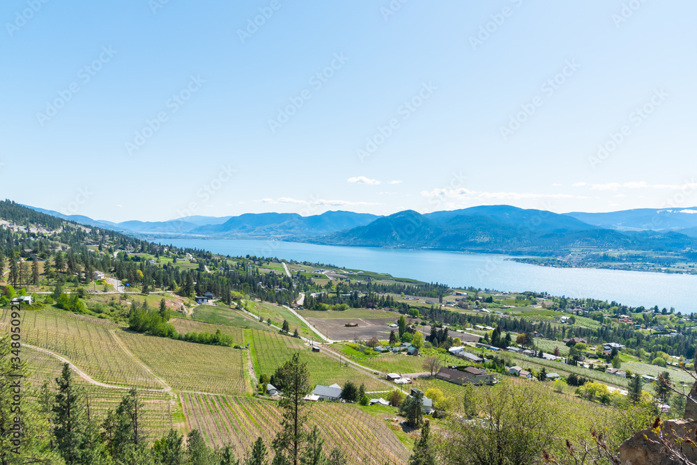 Panoramic view of Narmata Bench vineyards, Okanagan Lake and Okanagan Valley in springtime