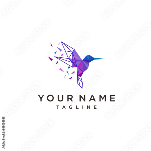 bird logo. colorful bird. illustration of hummingbird icon.