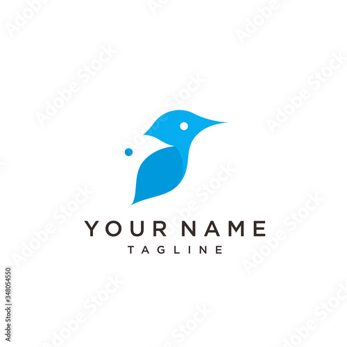 bird logo. colorful bird. illustration of hummingbird icon.