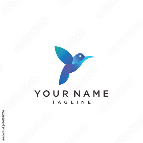 bird logo. colorful bird. illustration of hummingbird icon.