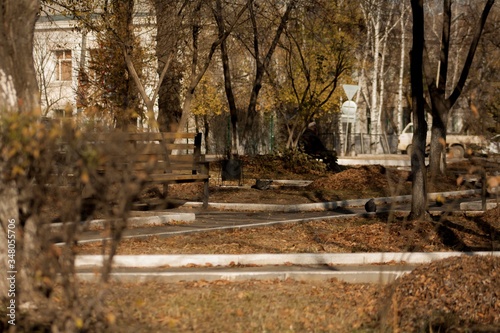 autumn in the park