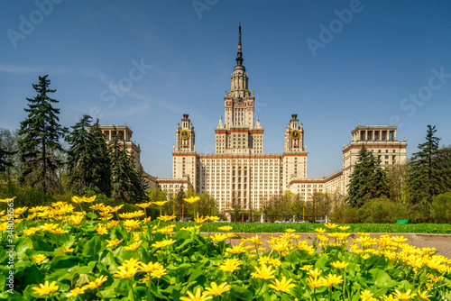 The main building of Moscow State University on a background of yellow flowers photo