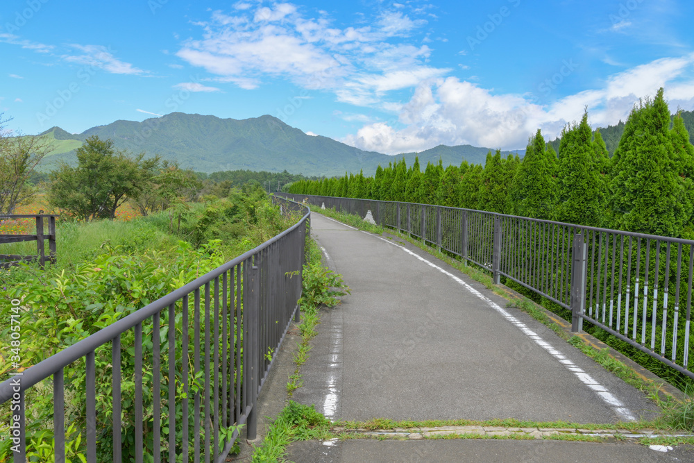 A path that runs forward to a large mountain