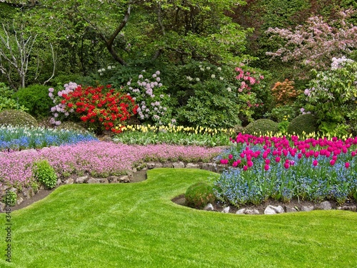 Fototapeta Naklejka Na Ścianę i Meble -  Lush garden blooming in the spring with colorful tulips on the flower beds