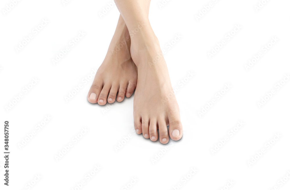 Beautiful female legs and feet on a white background. Beautiful female legs and feet on a white background.