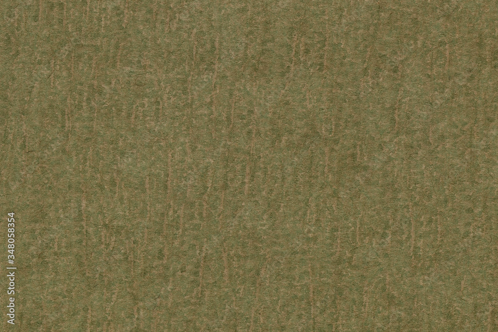 Fototapeta premium Olive green paper texture background