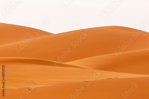 Desert Sahara with beautiful lines and colors at sunrise. Merzouga, Morocco