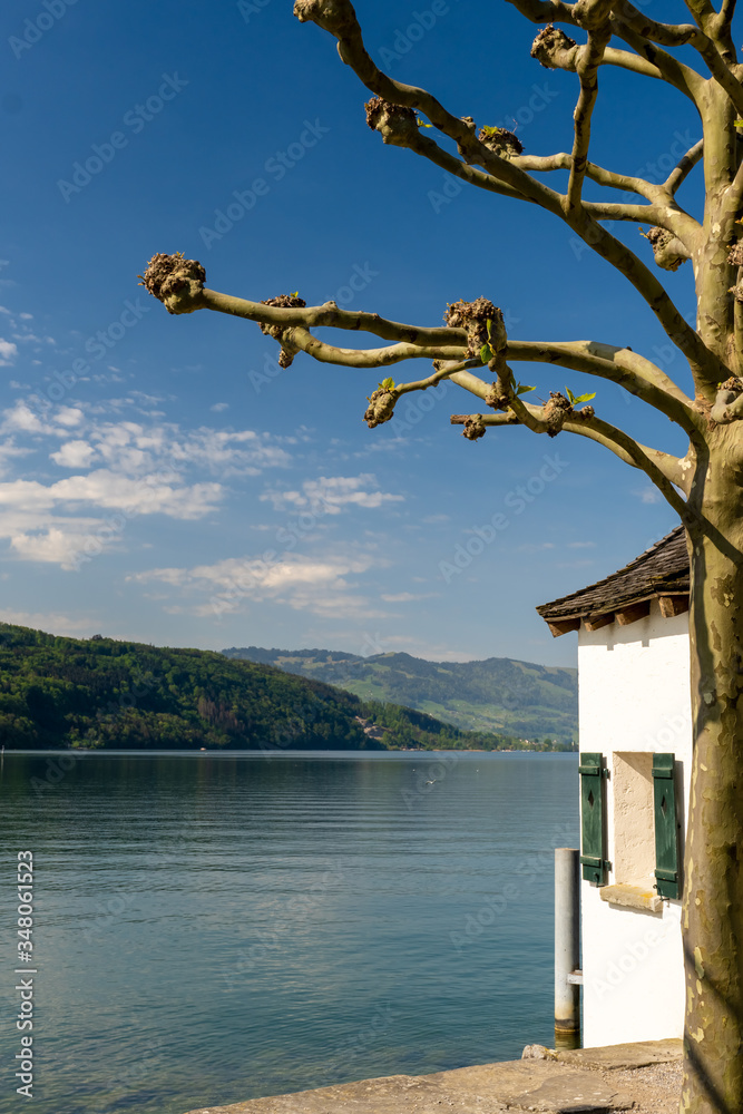 Schmerikon, located at the head of the Upper Lake Zurich (Obersee) where the Linth river enters the lake. St. Gallen, Switzerland Schmerikon, located at the head of the Upper Lake Zurich (Obersee) where the Linth river enters the lake. St. Gallen, Switzerland