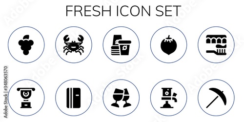 Modern Simple Set of fresh Vector filled Icons
