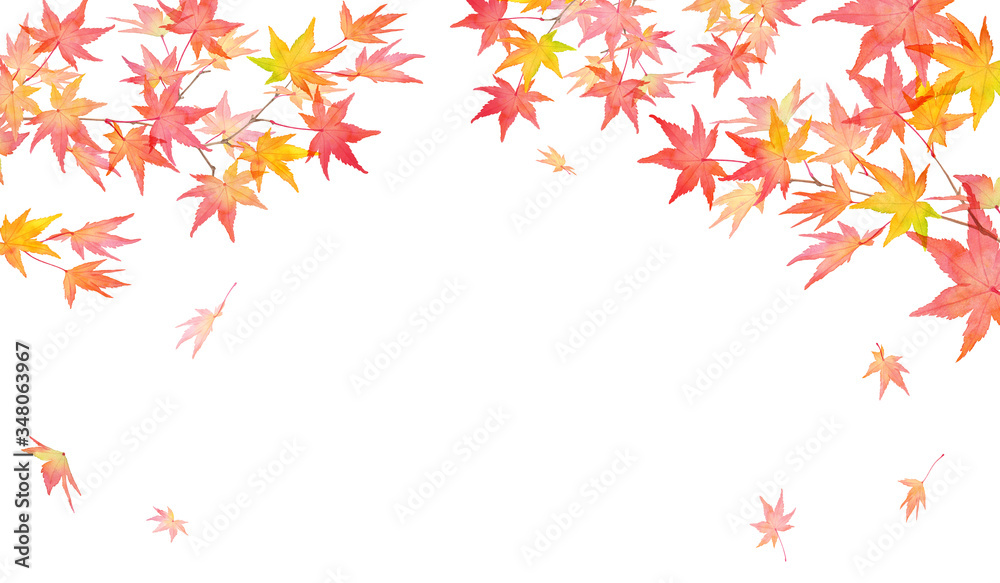 赤く色づいた秋の紅葉の枝と落葉。水彩イラスト。アーチ型フレームデザイン。