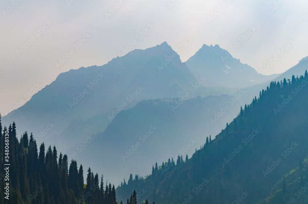 foggy mountains with spruce forests on the slopes foggy mountains with spruce forests on the slopes